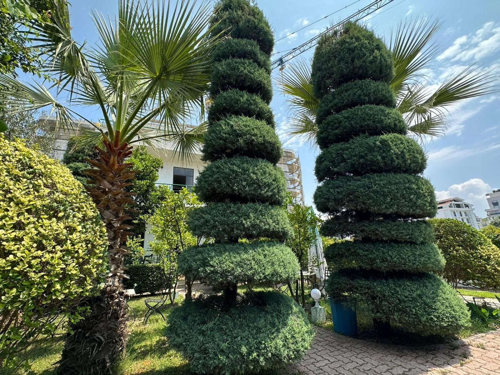 A-Vila Golem  Exterior photo